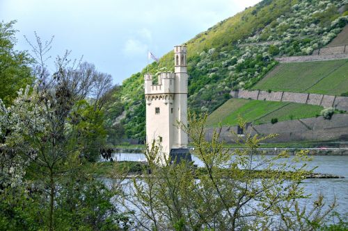 Pelės Bokštas, Bingen Am Rhein, Gamta, Vandenys, Kraštovaizdis, Medis, Architektūra, Parkas, Pastatas