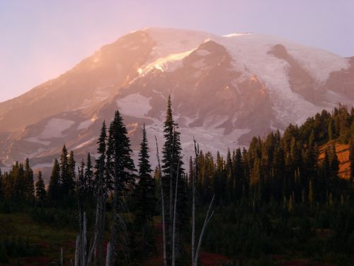 Mt, Rainier Washington, Saulėlydis, Medžiai, Sniegas