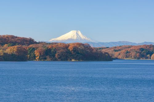 Mt Fuji, Japonija, Kraštovaizdis, Natūralus, Mėlynas Dangus, Sayama Ežeras, Rudens Lapai, Ruduo, Kalnas, Saulėtas, Sniegas, Pasaulio Paveldo Vieta, Fuji, Tokijo Viešbučiai