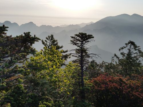 Mt Seoraksan, Saulėtekis, Gwittaegi Cheongbong, Kalnas, Peizažas, Rūkas, Miškas, Vaizdas, Rytas