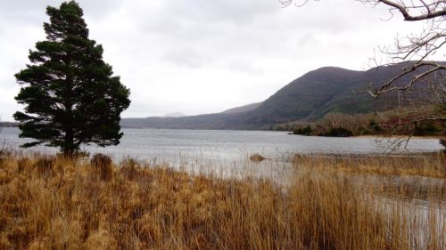 Muckross Ežeras, Airija, Vaiduoklis