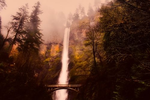 Multnomah Falls, Krioklys, Kalnai, Rūkas, Migla, Miškas, Medžiai, Miškai, Oregonas, Turizmas, Kraštovaizdis, Gamta, Lauke, Tiltas