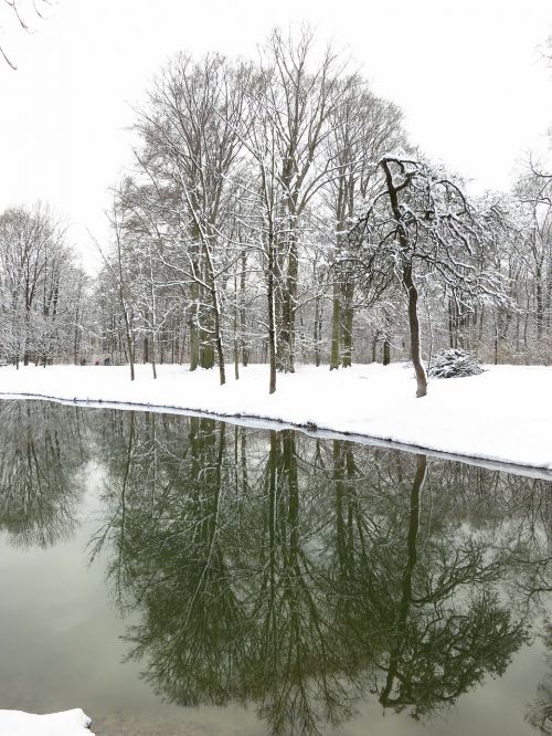 Munich, Anglų Sodas, Veidrodis, Medžiai, Sniegas, Gamta, Žiema