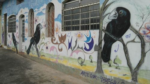 Fjeras, Grafiti, Gatvės Menas, Menas, Siena, Paukštis, Brazilas