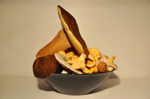 Grybai, Šparaginiai Grybai, Chanterelle, Miškas