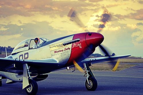 Mustangas, P-51, Lėktuvas