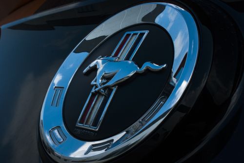 Mustangas, Logotipas, Automatinis, Prekinis Ženklas, Ženklas, Transporto Priemonė, Makro