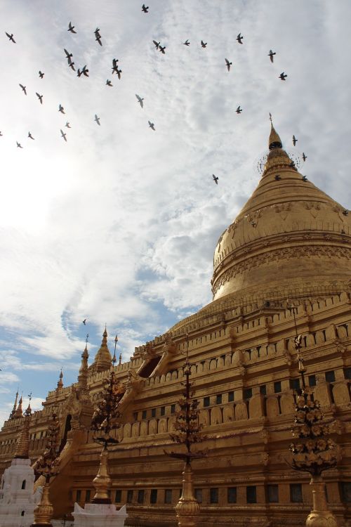 Mianmaras, Pagoda, Budizmas, Burma, Šventyklos Kompleksas, Swedagon, Rangonas, Shwedagon