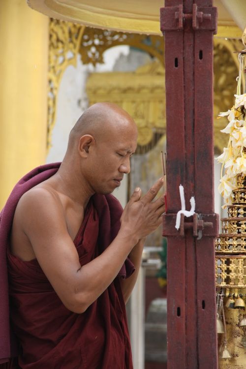 Mianmaro Vienuoliai, Shwedagon, Rangonas, Auksinė Pagoda, Meldžiasi