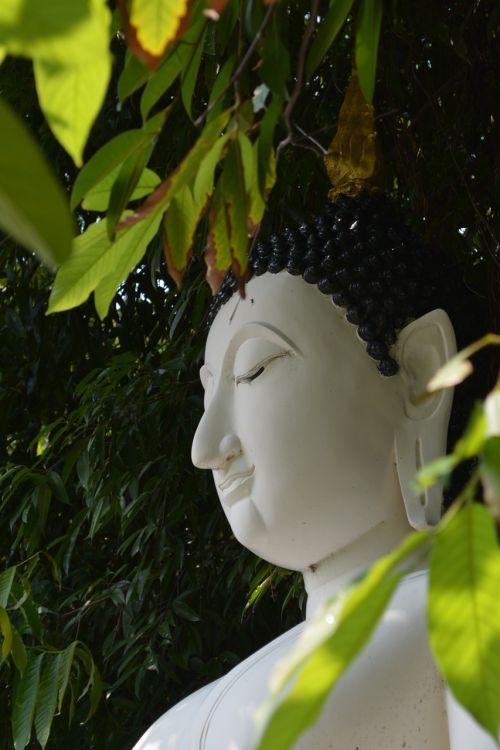 Religija, Buda, Statula, Asian