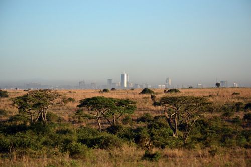 Nairobis, Kenya, Africa Cityscape, Savanna