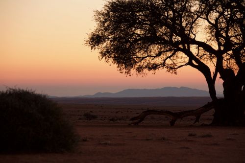 Namibija, Saulėlydis, Dykuma