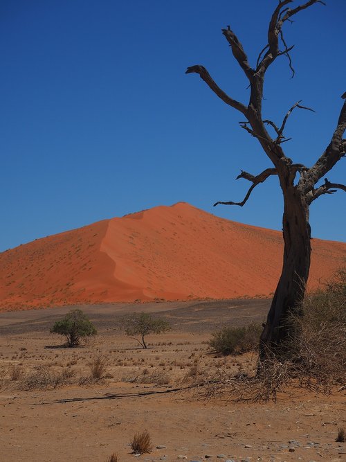 Namibija,  Roter Smėlio,  Vienišumas