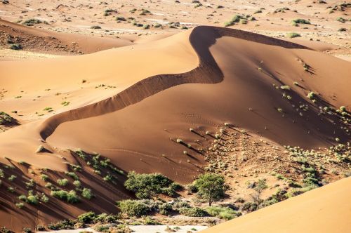 Namibija, Wolwedans, Namib Kraštas, Dykuma, Toli, Smėlis, Gamta, Kopos