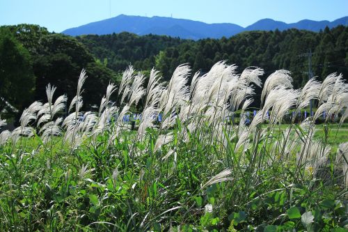 Natūralus, Japonija, Kalnas