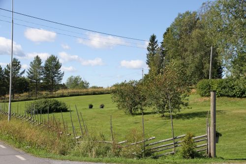 Gamta, Sodo Ūkis, Vasara, Norrland