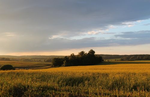 Gamta, Saulėlydis, Vasara, Debesys, Tyla, Saulė, Žolė, Vakaras, Kraštovaizdis, Kelionė