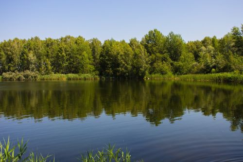Gamta, Vasara, Žalias, Dangus, Baltarusija, Ežeras, Lauke