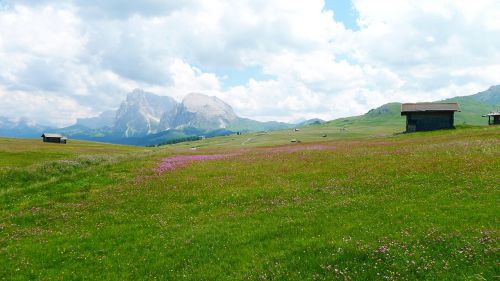 Gamta, Kraštovaizdis, Kalnai, Alm, Seiseralm-Südtirol