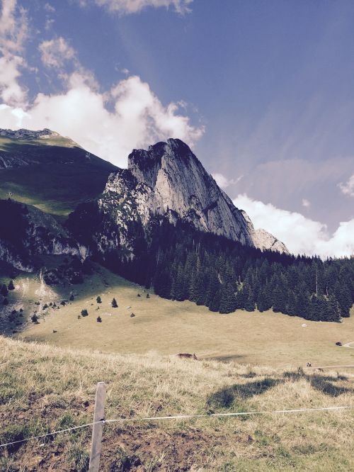 Gamta, Kalnas, Šveicarija