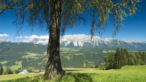 Gamta, Dachsteinas, Austria, Kalnai, Kraštovaizdis, Alpių, Žygis, Dangus, Ledynas, Mėlynas, Aukščiausiojo Lygio Susitikimas, Alpinizmas, Schladming, Panorama, Lauke, Planai, Pieva