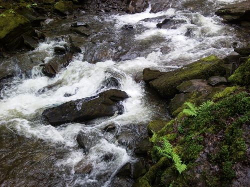 Gamta, Vanduo, Upė, Velso, Gamtos Apsauga, Melencourt Falls