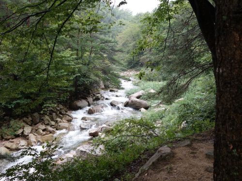 Gamta, Slėnis, Mungyeong Saejae, Korėjos Respublika, Korėja, Turistų Kelionės Tikslas, Mungyeong