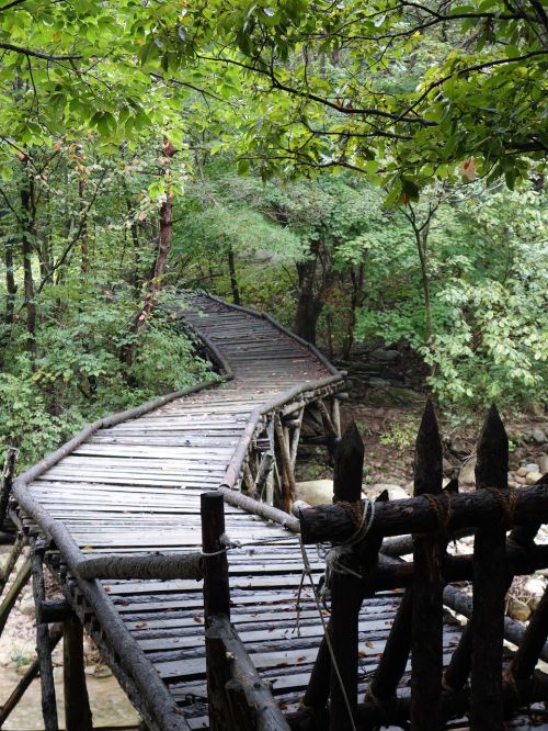 Gamta, Mungyeong Saejae, Korėjos Respublika, Mungyeong, Tiltas, Medinės Kojos
