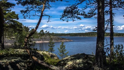 Gamta, Ladoga, Skerries, Ežeras, Kraštovaizdis, Vanduo, Vasara, Medžiai, Lygus Paviršius, Papludimys, Ežeras Miške, Ramybė