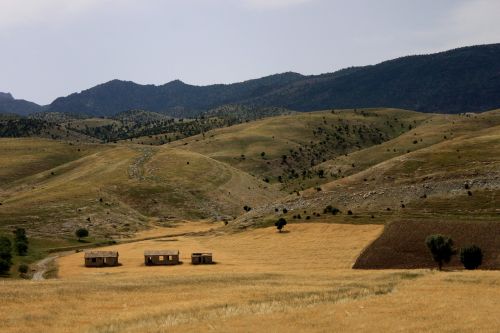 Gamta, Kalnas, Stepė, Sirnak, Kraštovaizdis, Fonas