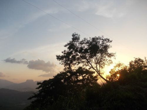 Gamta, Medis, Saulėlydis, Dangus, Saulė, Šri Lanka