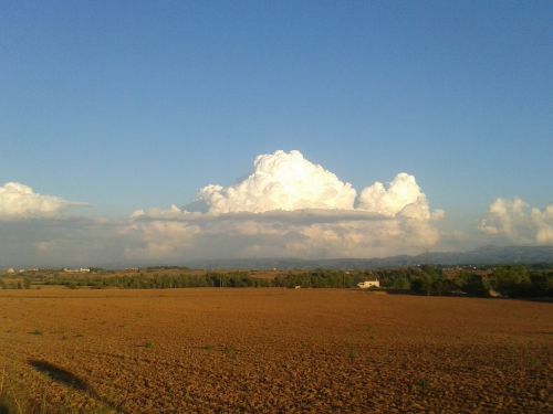 Gamta, Laukas, Kraštovaizdis