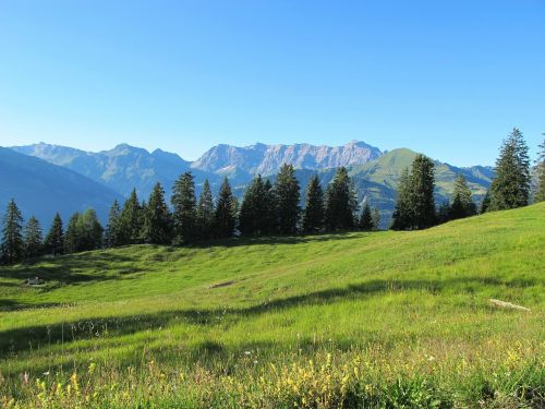 Gamta, Žalias, Kalnai, Pieva, Šveicarija, Miškas, Mėlynas, Dangus, Graubünden