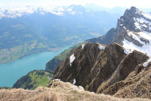 Gamta, Kalnai, Šveicarija