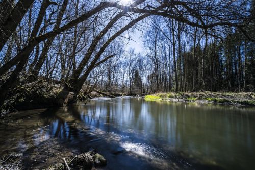 Gamta, Kraštovaizdis, Debesys, Dangus, Nuotaika, Žalias, Vokietija, Vasara, Vaizdas, Miškas, Medžiai, Žygiai, Panorama, Parkas, Lapai, Gamtos Rezervatas, Skubėti, Saulės Šviesa, Samanos, Bavarija, Vanduo, Bachas, Kiauras, Upė, Vandenys, Romantiškas, Amper, Platus