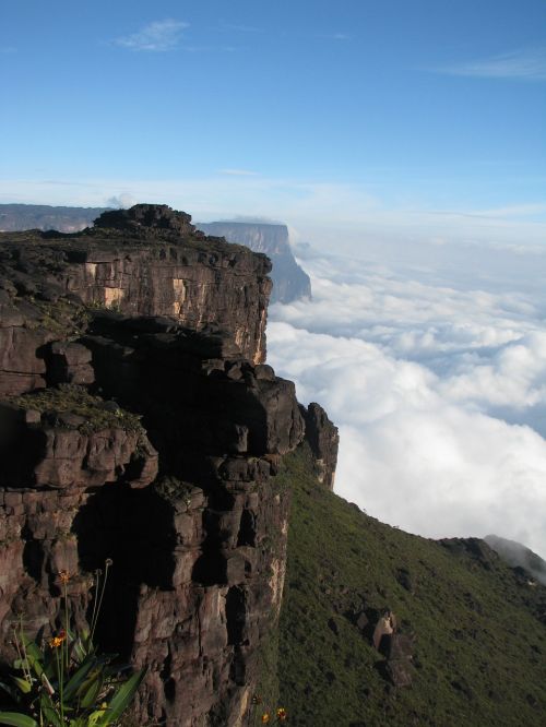 Gamta, Roraima, Canaima