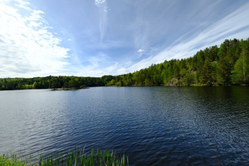 Gamta, Kraštovaizdis, Žolė, Vanduo, Ežeras, Žalias, Mėlynas