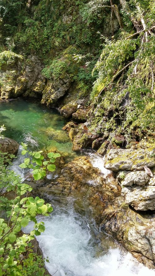 Gamta, Bulgarija, Ekologinis Takas