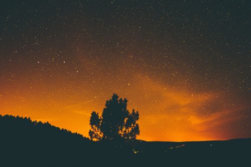 Gamta, Kraštovaizdis, Šešėlis, Tamsi, Naktis, Debesys, Dangus, Žvaigždė, Stargazing, Astrofotografija, Medžiai