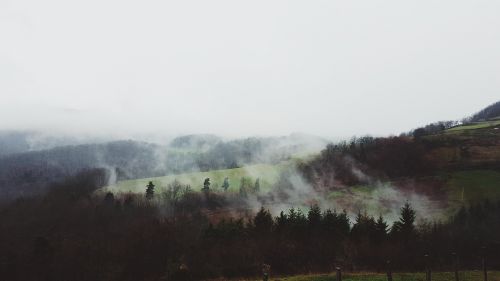 Gamta, Kraštovaizdis, Žalias, Kalnas, Rūkas, Medžiai, Antena