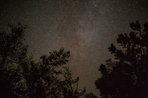 Gamta, Medžiai, Galaktikos, Žvaigždės, Tamsi, Dangus