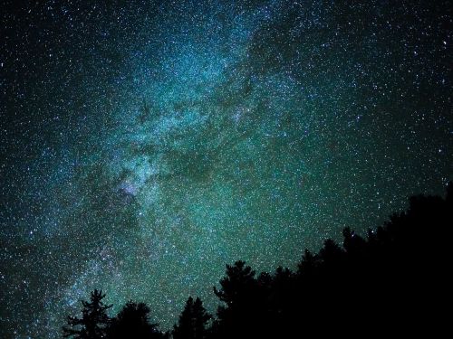 Gamta, Medžiai, Galaktikos, Žvaigždės, Dangus, Tamsi