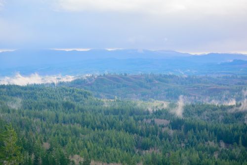 Gamta, Kraštovaizdis, Kalnai, Miškai, Medžiai, Antklodė, Rūkas, Dangus, Debesys, Horizontas, Mėlynas