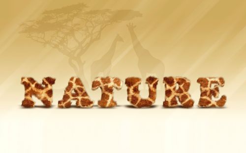 Gamta, Žirafa, Afrika, Kraštovaizdis, Medis, Vasara