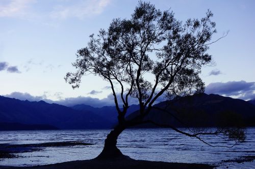 Gamta, Naujoji Zelandija, Wanaka
