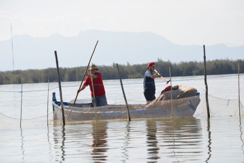 Gamta, Albufera, Jūrų