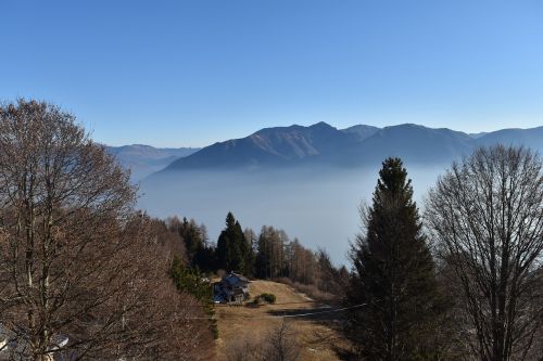 Gamta, Rūkas, Ticino, Kraštovaizdis, Kalnas, Medžiai, Ruduo