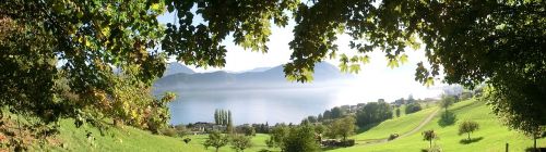 Gamta, Weggis, Ežero Lucerne Regionas