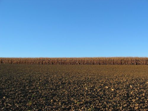 Gamta, Kraštovaizdis, Žemdirbystė, Dangus, Oras, Mėlynas