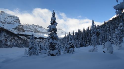 Gamta, Alberta, Kanada, Žiema, Banff, Nacionalinis Parkas
